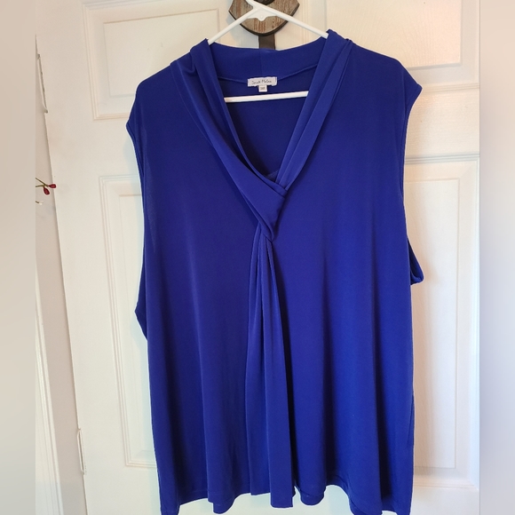 (1196) Dante Malan Woman's Sleeveless Blouse, Size: 3X Color: Blue - Picture 1 of 10